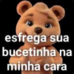 ursinho
