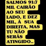 versículos 