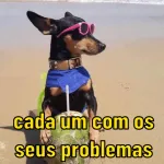 memes 