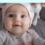 Are you challenging me?