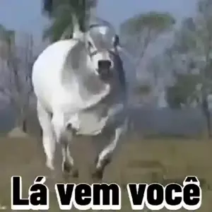 oUZc7o