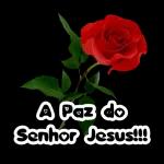A paz do Senhor Jesus!!!