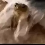 TEM COMIDA PRONTA!