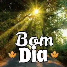 Vai não