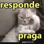 engraçados 