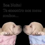 Te encontro nos meus sonhos💏