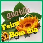QUARTA-FEIRA