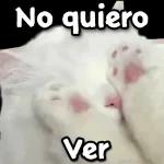 gatitos