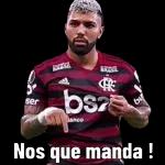 FLAMENGO 