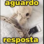 SINTO CHEIRO DE MENTIRA 