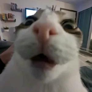 QNTE2h
