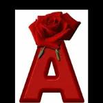 Bom dia!
Quando Deus
permite que um
desafio surja
em sua vida,
Ele está
dizendo que
você tem a
força.