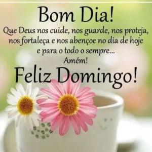 Bom Dia! Que Deus nos cuide, nos guarde, nos proteja, nos fortaleça e nos abençoe no dia de hoje e para o todo o sempre... Amém! Felis Domingo! - getsticker.com