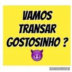 transar 