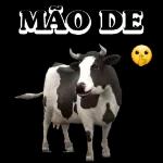 EMA EMA EMA CADA UM COM SEUS PROBLEMAS