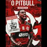 Flamengo Gol