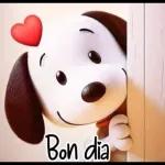 Feliz Dia das mulheres! 