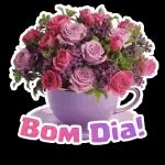 Com Carinho
Pra Vc