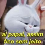 CONTA ESSE BABADO