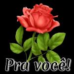 MTFP Pra você! 