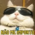 jhgdds