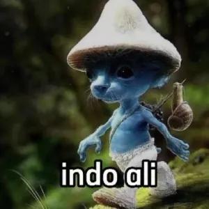 indo ali - getsticker.com
