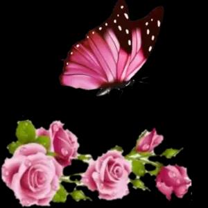 Bom dia - getsticker.com