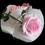  Paz
do
Senhor
JESUS!

