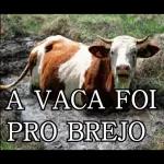 Nunca perca sua fé