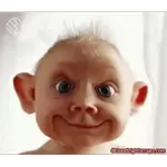 bolofofos