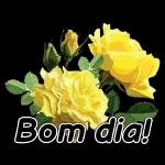 bom dia 0916 1