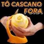 certo 
