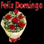domingo