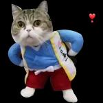 animais