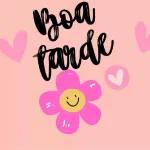tcxcvv