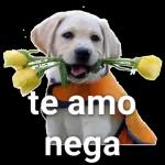 só alegria