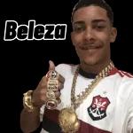 pacotes