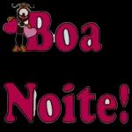 Boa noite