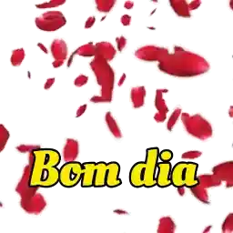 xaN5Bv