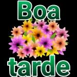 BOA TARDE 