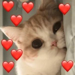 auYChZ
