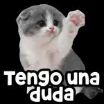 TE SERÉ FRANCO NO ME GUSTA NADA TU COMENTARIO