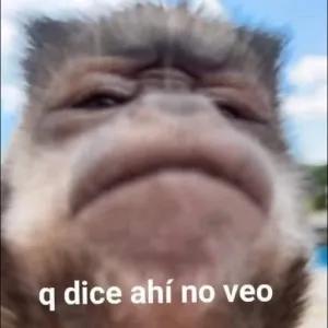 DWJrr5