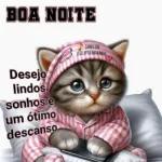 Boa noite