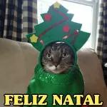 Pura energia boa 🔋💖