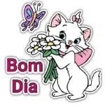 boom dia
