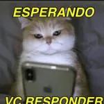 Obrigada!