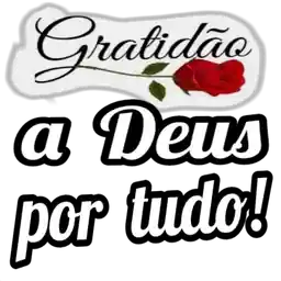 Bom dia 🌞