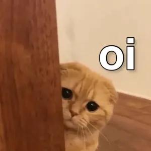 oi  - getsticker.com