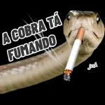 Oi, Xuxu.